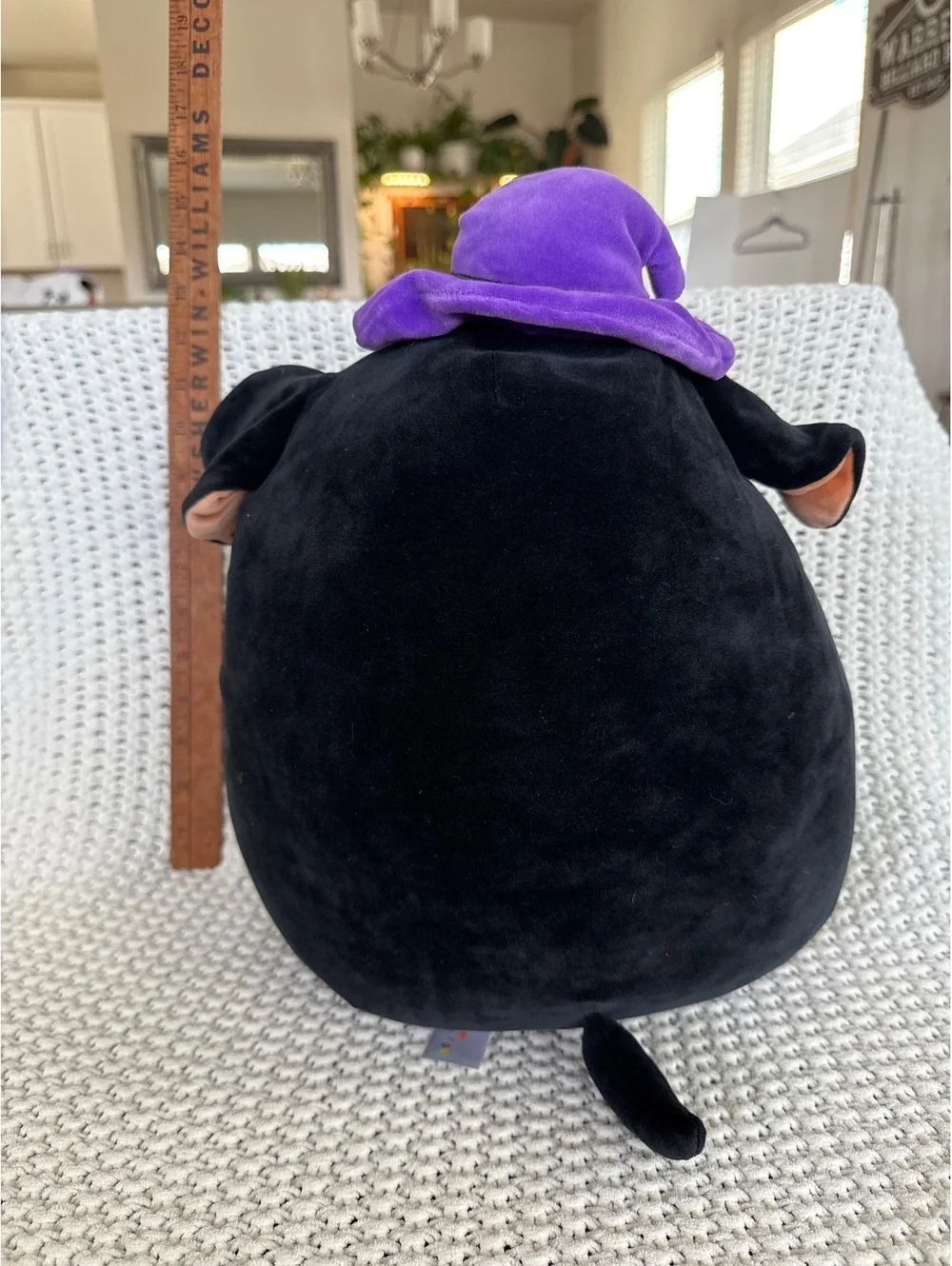 Squishmallows Halloween Black Dog Plush with Witch Hat